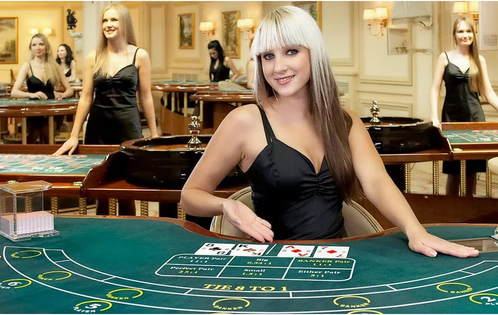 Meja permainan live dengan tampilan kamera dan area taruhan